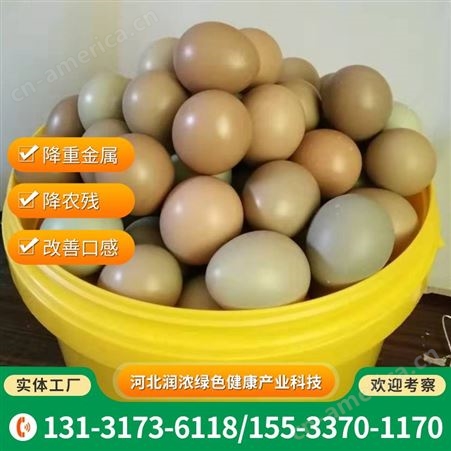 批发供应 含硒七彩山鸡蛋 农家散养绿壳蛋营养丰富 货源稳定